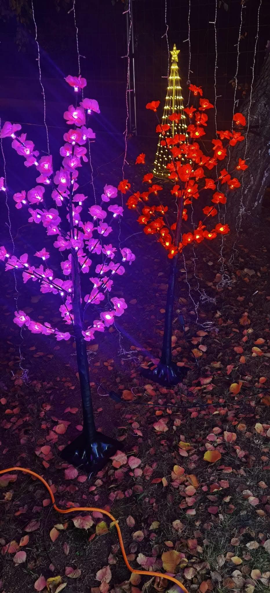 Csodálatos fényfüzérek!